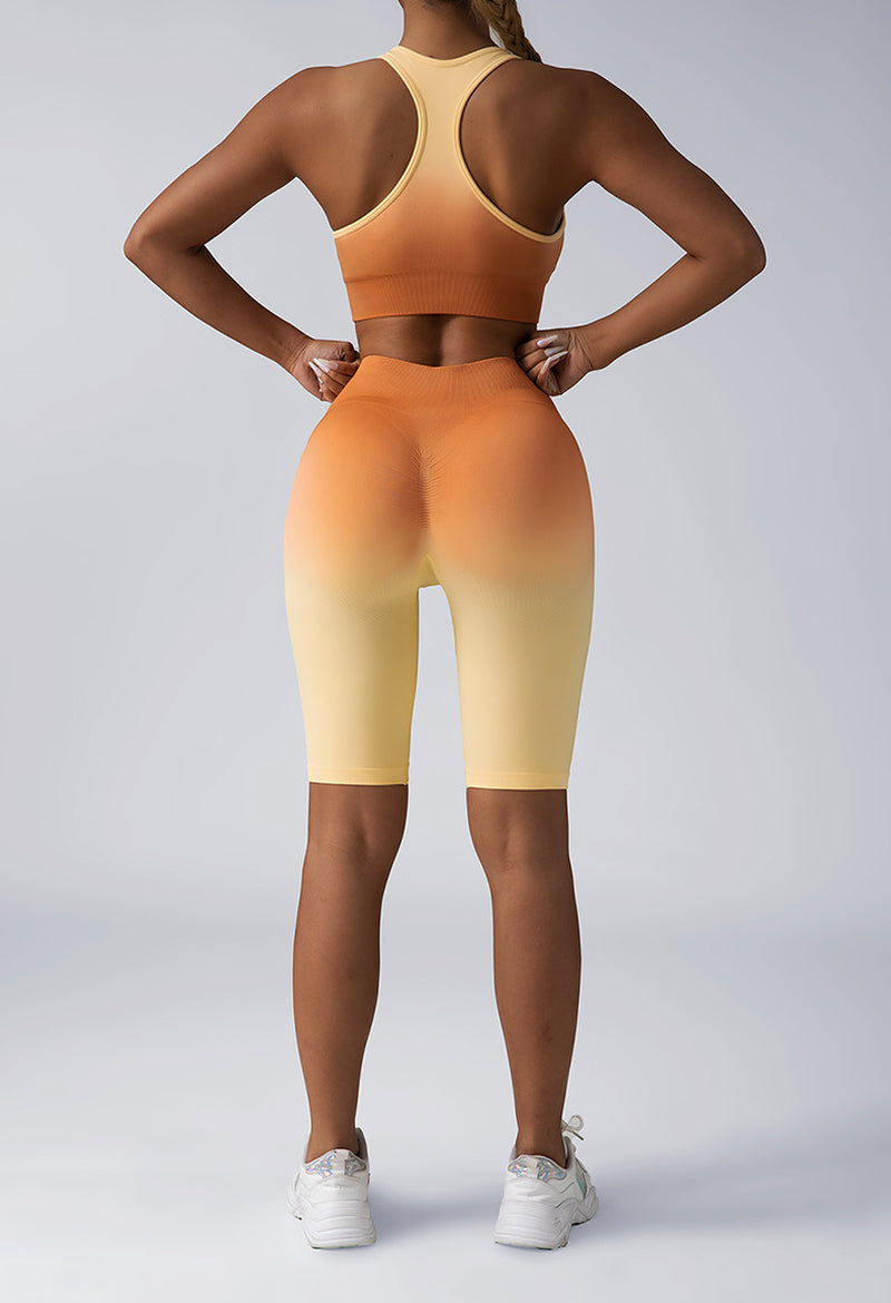 2 Piece Crop Tank Top Yoga Set