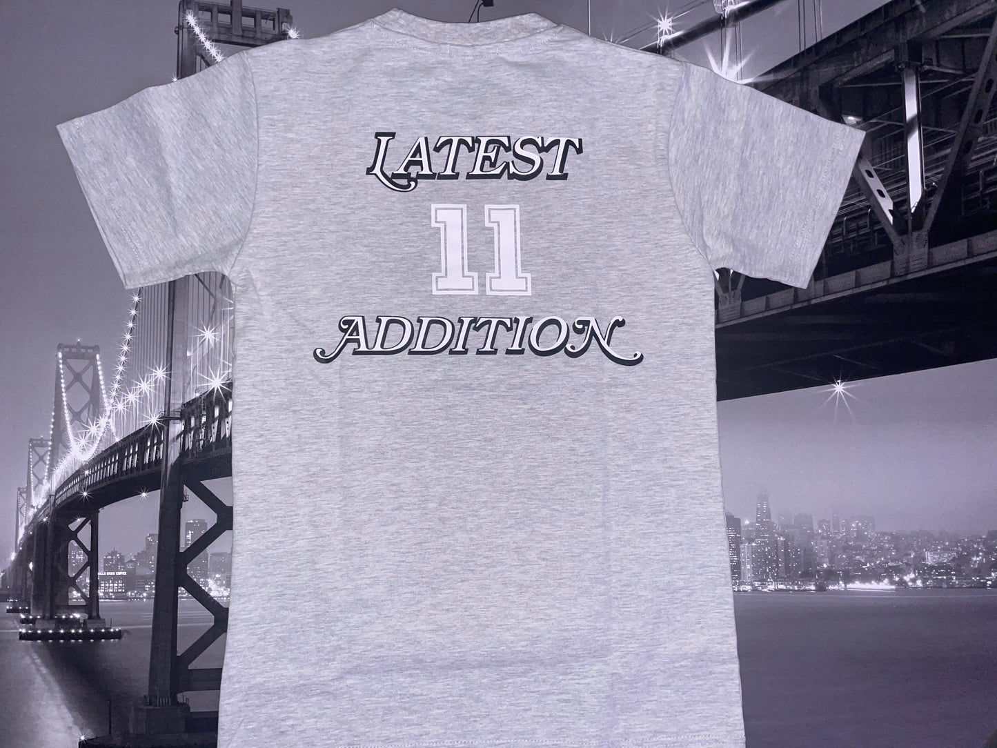 Latest Addition Jersey T-Shirt Grey