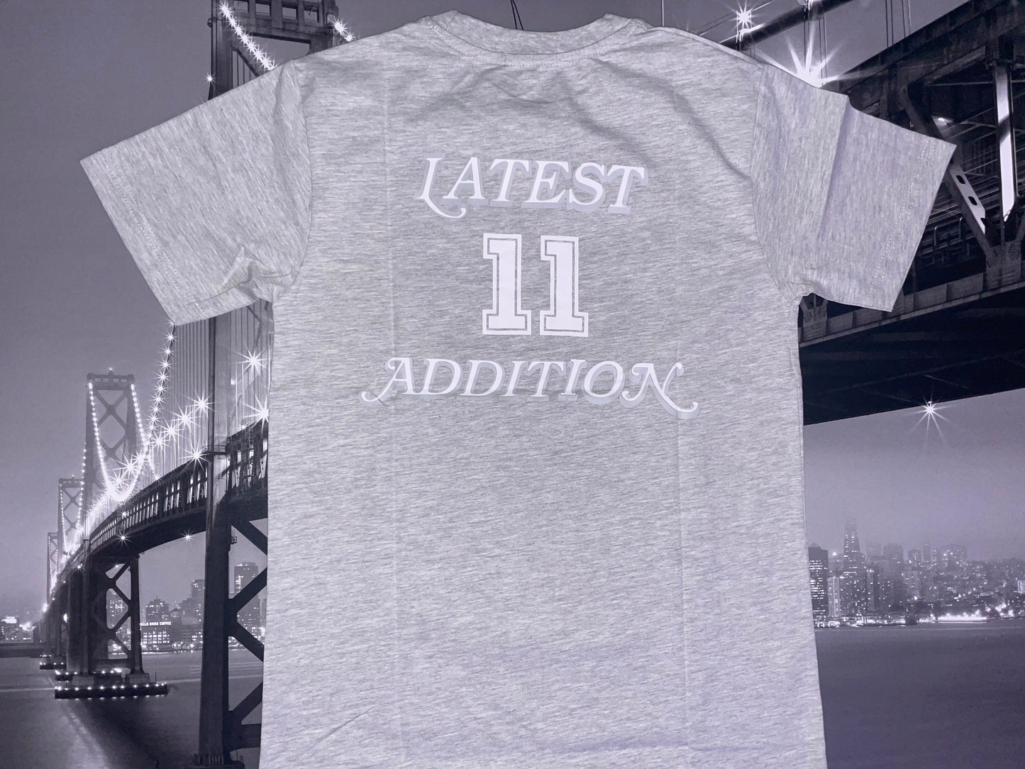 Latest Addition Jersey T-Shirt Special Grey
